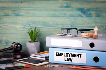 Employment Law Basics - Individual Registration